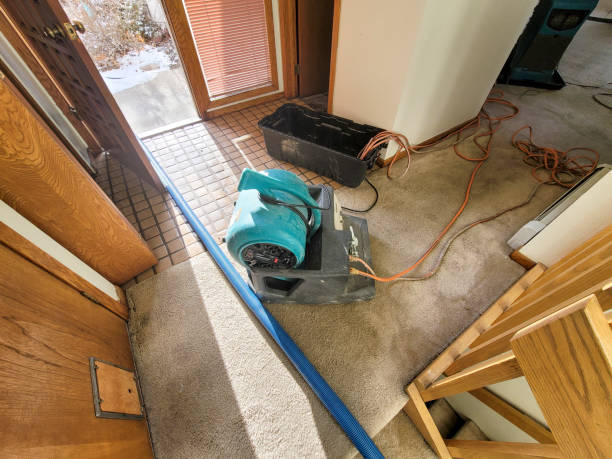 Trusted Water Damage Restoration in Seat Pleasant, MD | Fast, Reliable, and Ready to Assist You